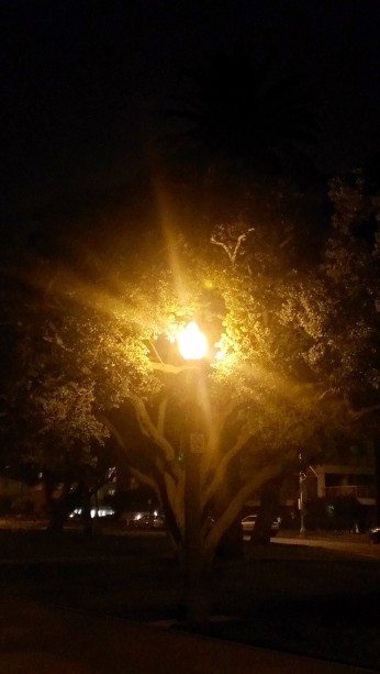 park lamp