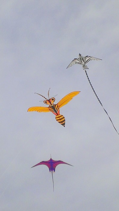 SkyBirds+Bee