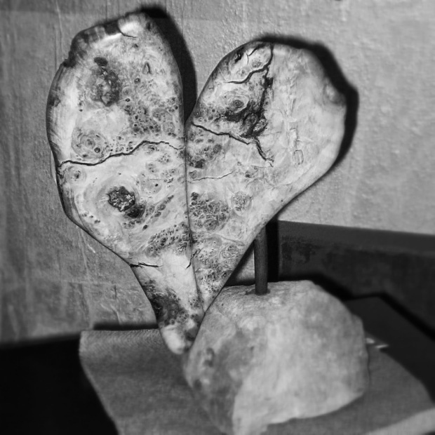 Burlwood Heart, Sculpture by Anne Shutan