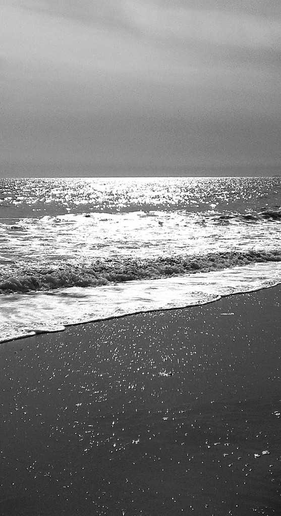 The Silvery Sea, Santa Monica